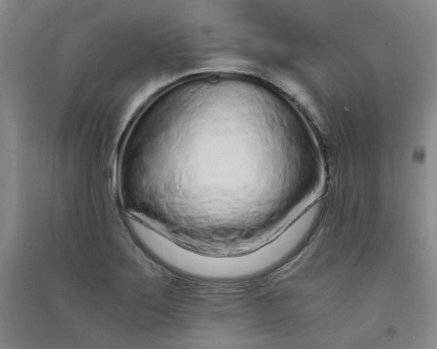 X0000090921275200708201758