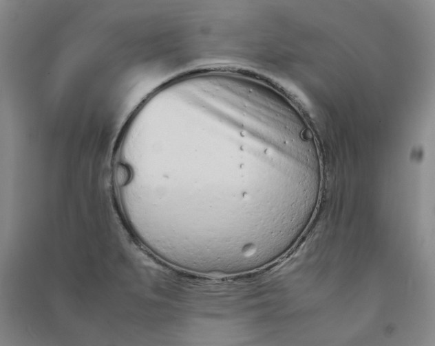 X0000090921279200708201758