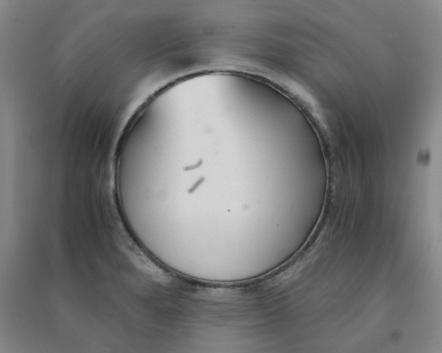 X0000090921280200708201758