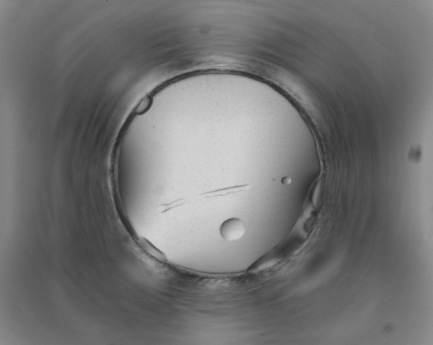 X0000090921283200708201758