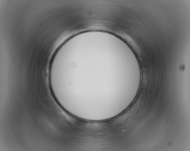 X0000090921286200708201757