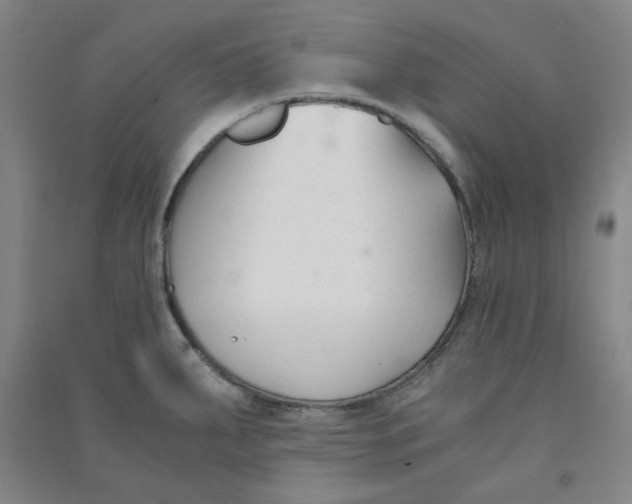 X0000090921287200708201757