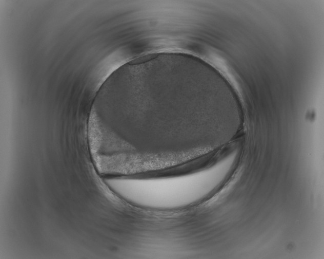 X0000090921289200708201757