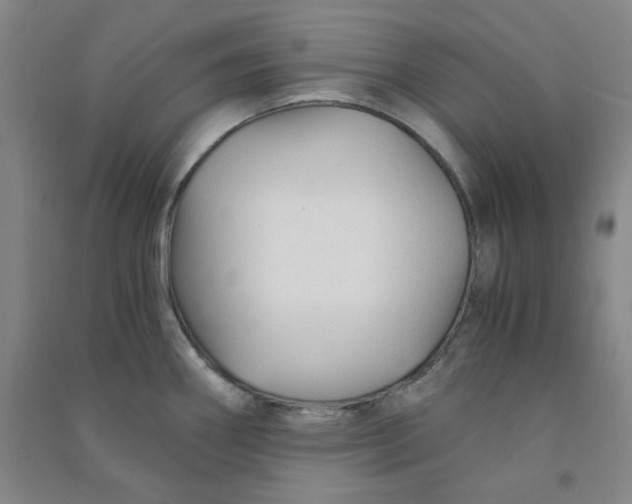 X0000090921290200708201757