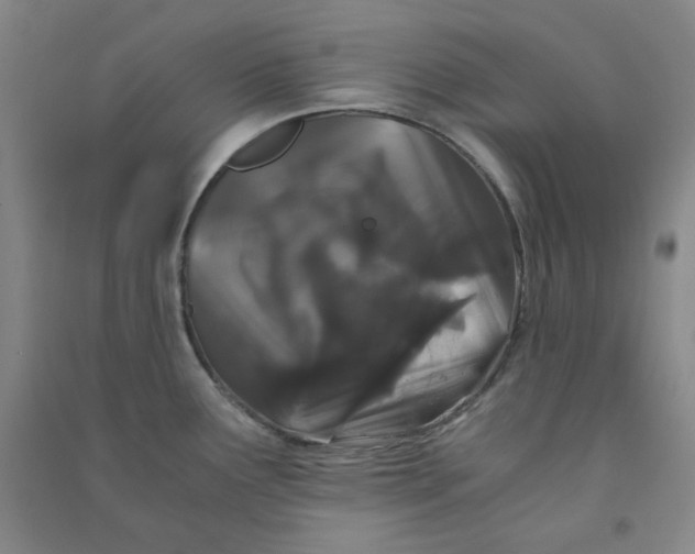 X0000090921291200708201757