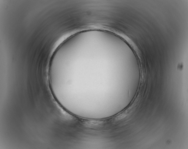 X0000090921294200708201757