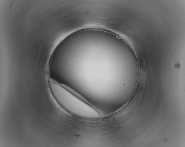 X0000090921295200708201757