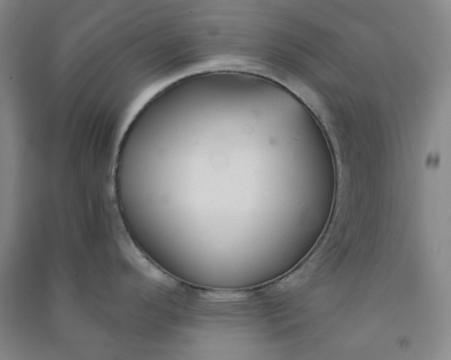 X0000090921296200708201757