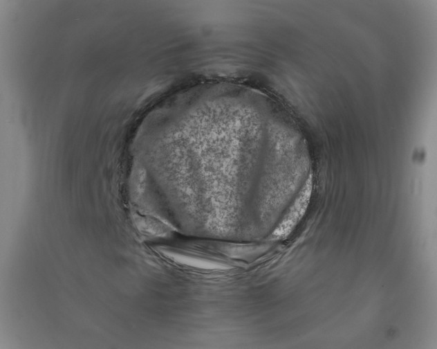 X0000090921297200708201756