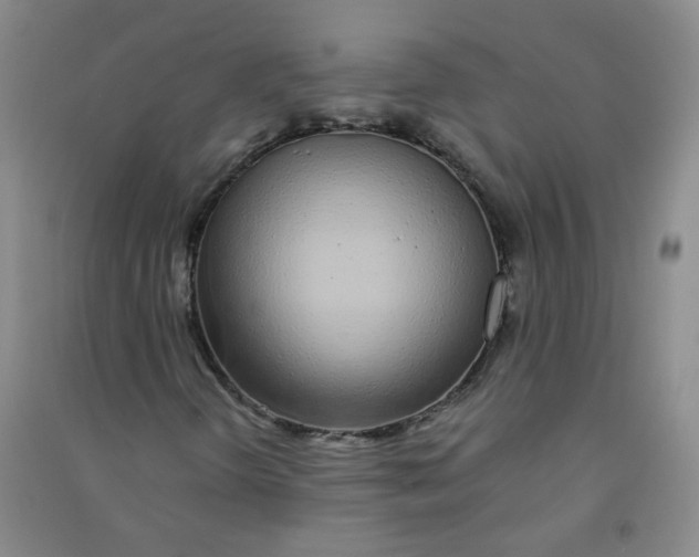 X0000090921298200708201756