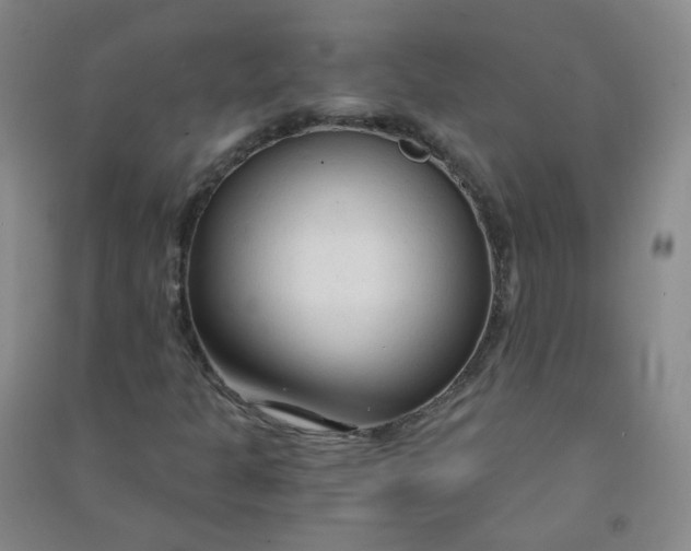 X0000090921301200708201756