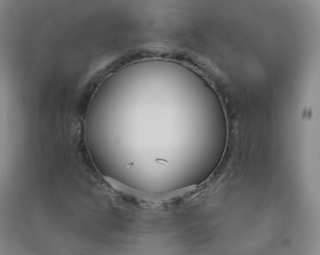 X0000090921302200708201756