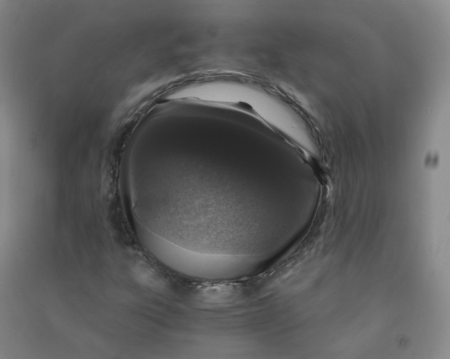 X0000090921303200708201756