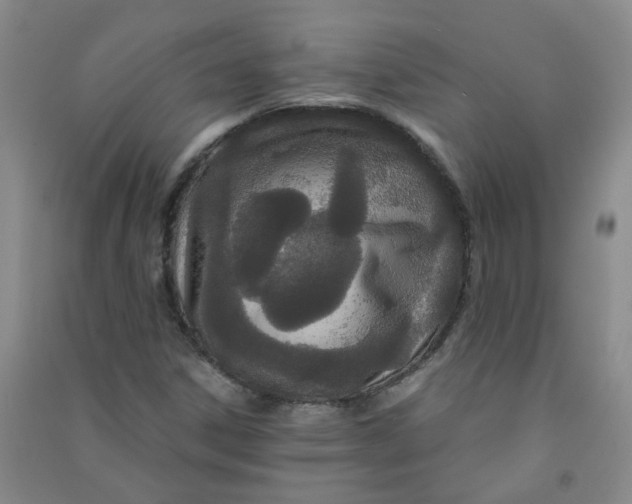 X0000090921306200708201757