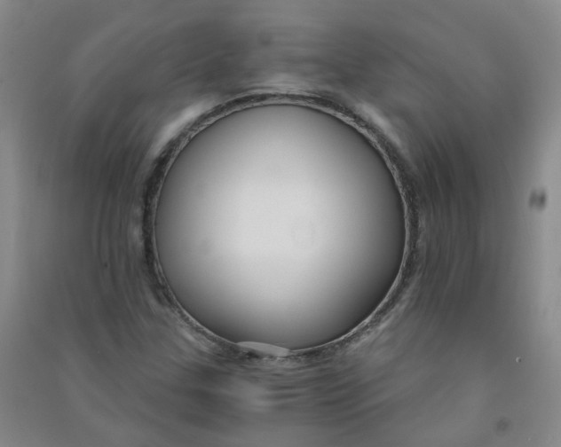 X0000090921307200708201757