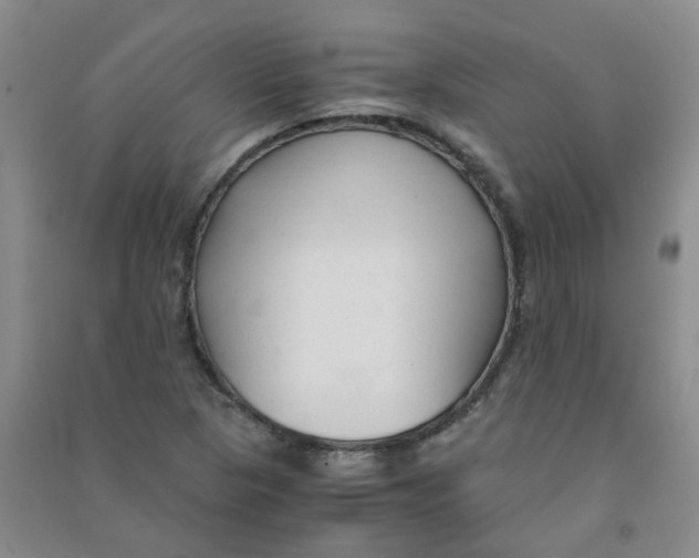 X0000090921313200708201757