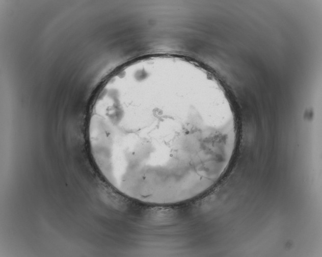 X0000090921314200708201757