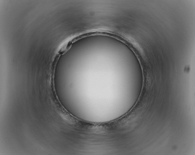 X0000090921316200708201757