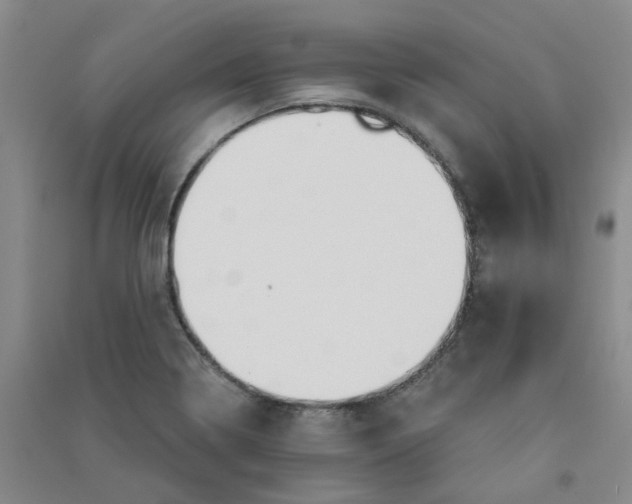 X0000090921322200708201757