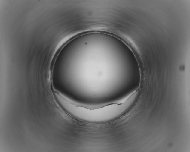 X0000090921324200708201757