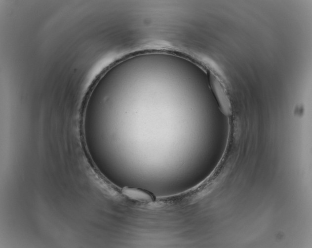 X0000090921326200708201757