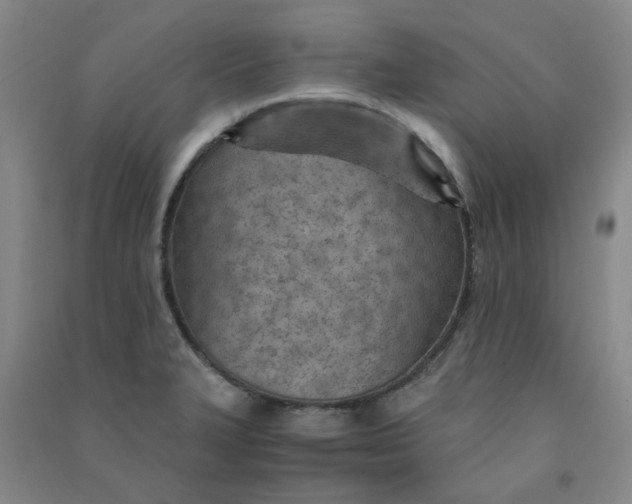 X0000090921327200708201757