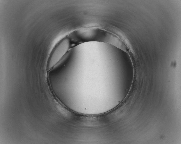 X0000090921328200708201757