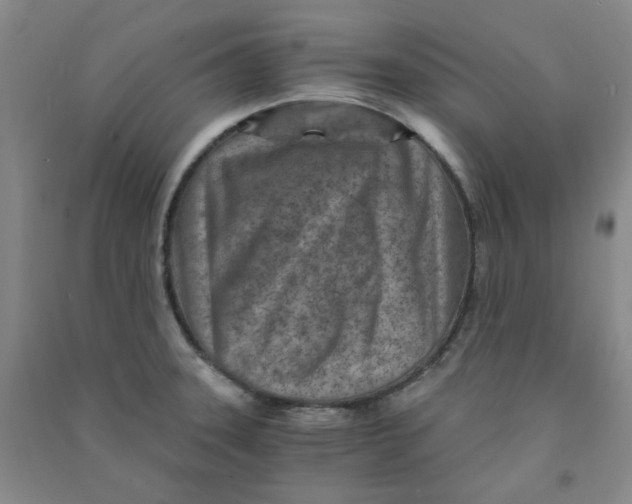 X0000090921331200708201757