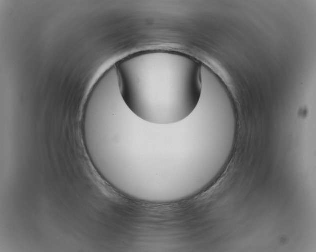 X0000090921332200708201757