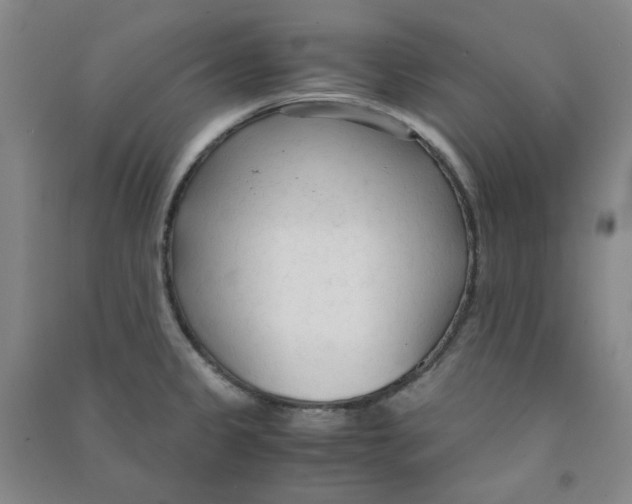 X0000090921333200708201757