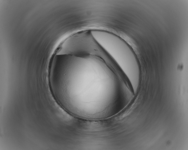 X0000090921334200708201757