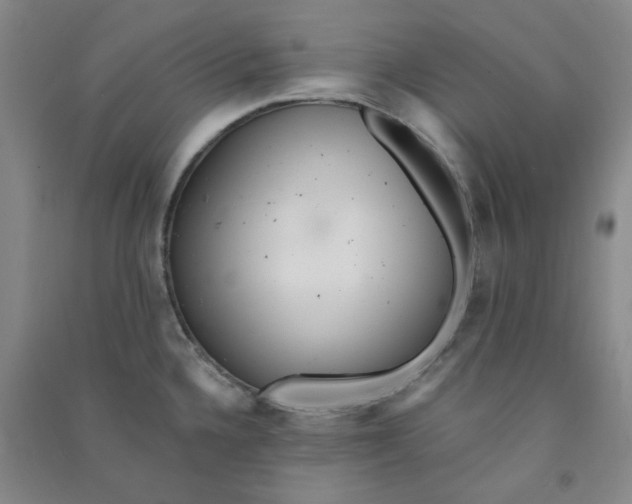 X0000090921336200708201757