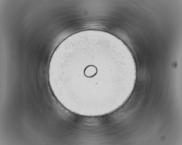 X0000090921338200708201757