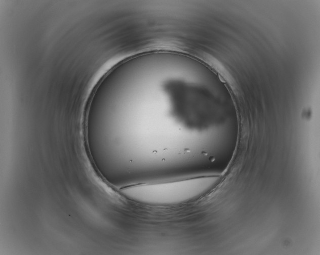 X0000090921339200708201757