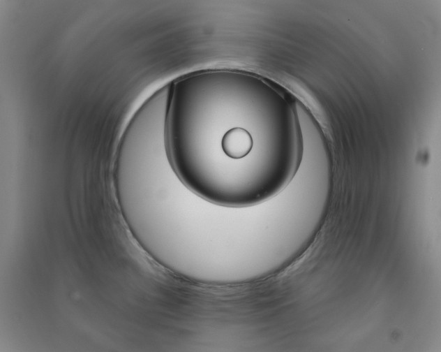 X0000090921340200708201757