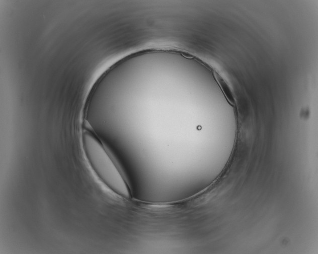 X0000090921343200708201757