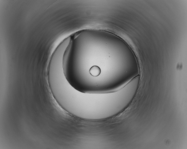 X0000090921344200708201757