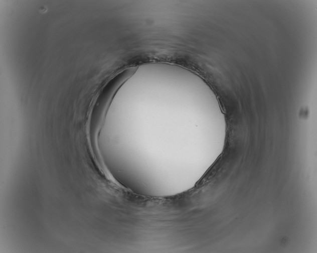 X0000090921345200708201756