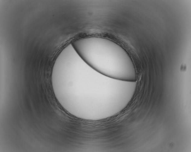 X0000090921348200708201756