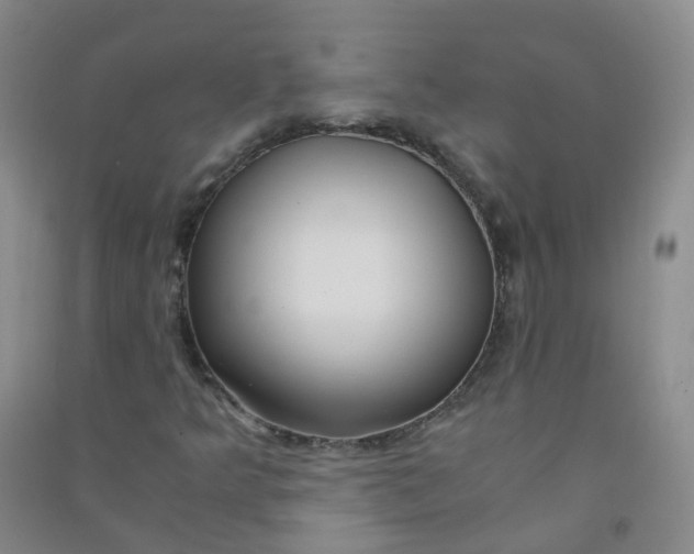 X0000090921349200708201756