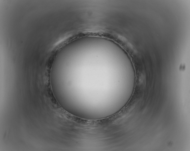 X0000090921350200708201756