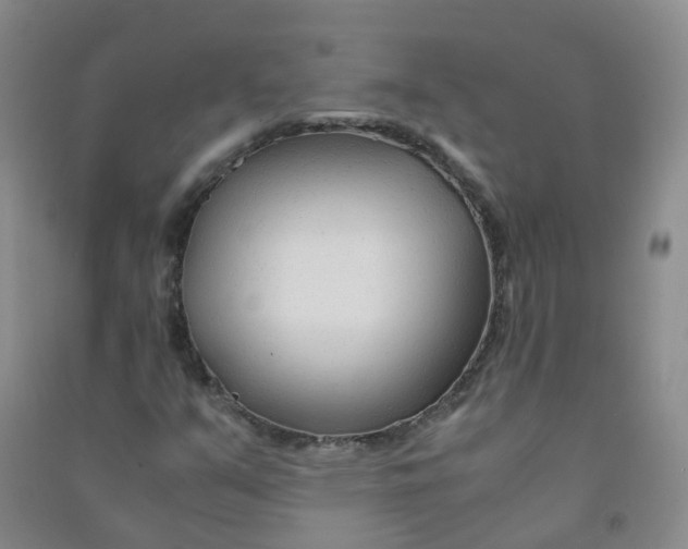 X0000090921351200708201756