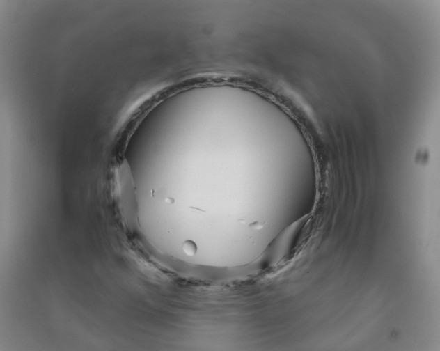 X0000090921352200708201756