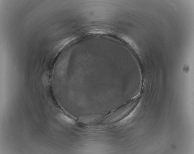 X0000090921353200708201756