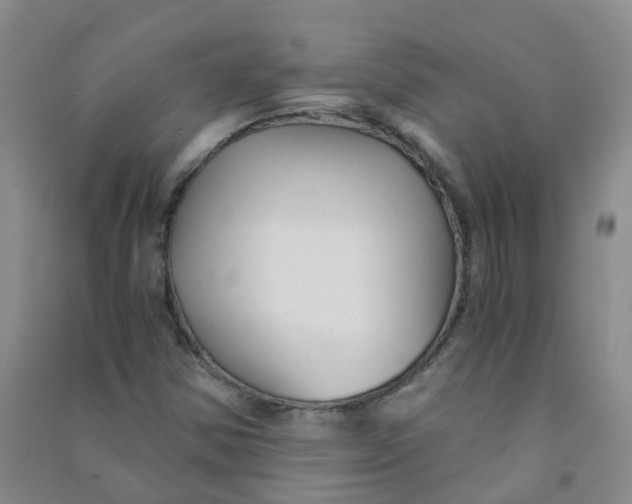 X0000090921354200708201756