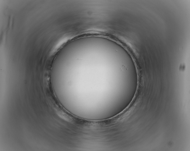 X0000090921355200708201756