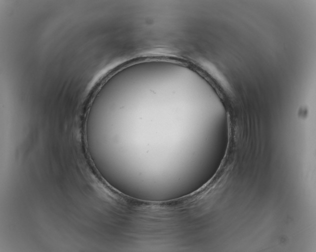 X0000090921356200708201756