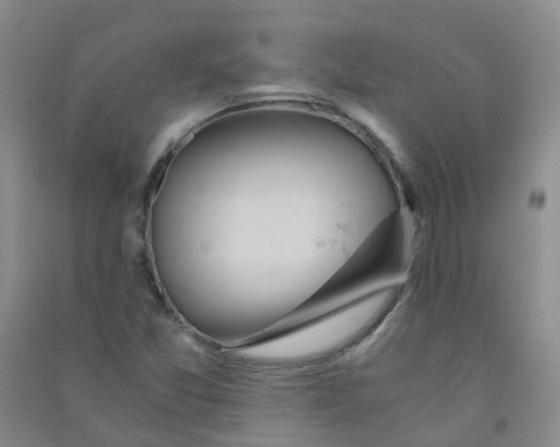 X0000090921357200708201756