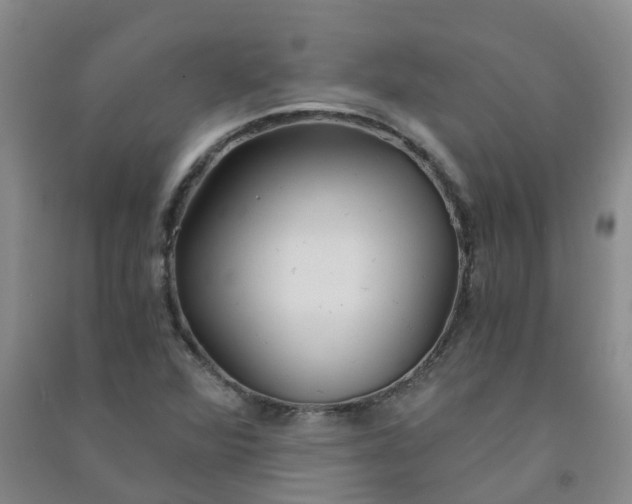 X0000090921360200708201756