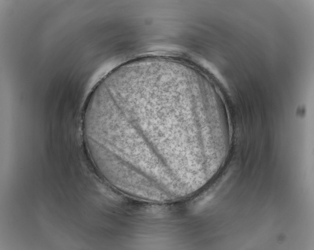 X0000090921362200708201756